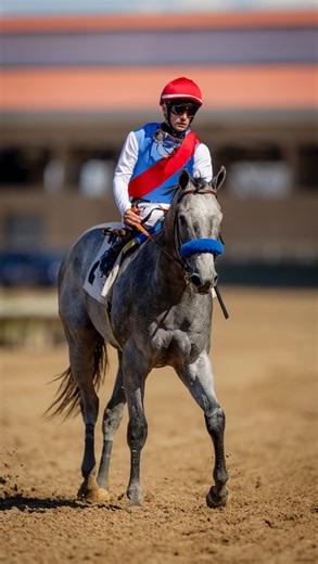 A gutsy performance from start to finish. 🏆 Brant gets the job done in the Grade I Del Mar Futurity. | Del Mar Racing