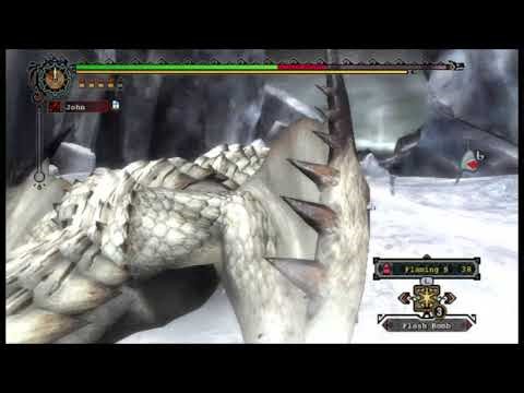 Monster Hunter Tri - HR40 Barioth 6:56 MBG Solo