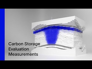 Carbon Storage Evaluation Measurements