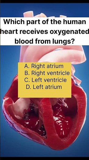Life Processes MCQ Class 10 🔥 | NCERT Science Chapter 5 | CBSE Board Exam #biologyclass