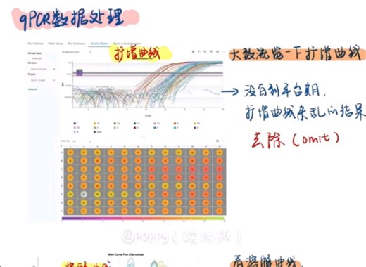 qPCR下机数据分析及可视化（超全！
