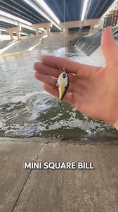 350K views · 1.2K reactions | It's a strike out for @Hunterdubs.fwtx What would you throw here? #bfsfishing #KastKing #baitcaster #damfishing #fishingreel #fishingvideo #finesse | KastKing | Facebook