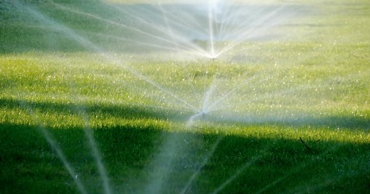 Utah to offer incentives for people to ditch lawns for xeriscaping