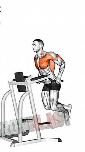 Best Chest Dips for Bigger Chest & Triceps | Assisted Dip Machine Workout