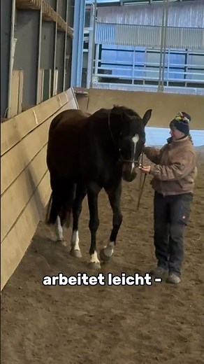 Dein Pferd arbeitet leicht - wird aber gefüttert wie im Training.