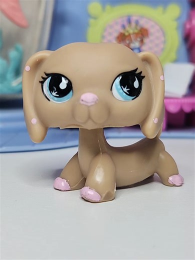Dog edition! This is just for funsies don't take my opinions too seriously #lps #lpstiktok #lpstok #lpscommunity #littlestpetshop
