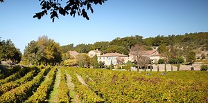 Château Miraval, la historia del castillo en la Provenza de Brad Pitt