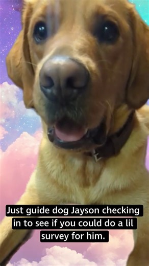 Our lovely guide dog Jayson has a question for you 🩷 He’s new at RNIB Connect Radio and would love to know what you enjoy about the station and what you’d like to hear more of. Could you fill in a lil survey for him? surveymonkey.com/r/LTH7XBD [Video description and transcript: With a big smile and tongue sticking out, ginger-coloured Jayson floats amongst pink clouds and galaxy sky. Just guide dog Jayson checking in to see if you could do a lil survey for him. Look at those big brown eyes and 