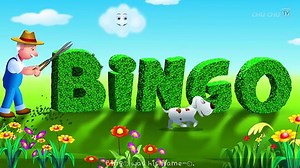 BINGO Dog Song - Nursery Rhyme With Lyrics - Cartoon Animation Rhymes & Songs for Children