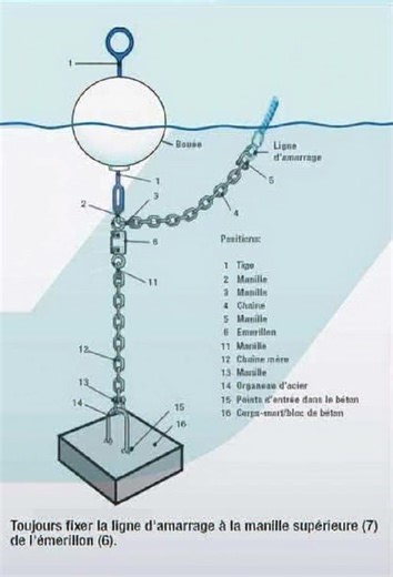 277K views · 646 reactions | The diagram illustrates a mooring system for a buoy, detailing its components and their connections. | Sea Life | Facebook