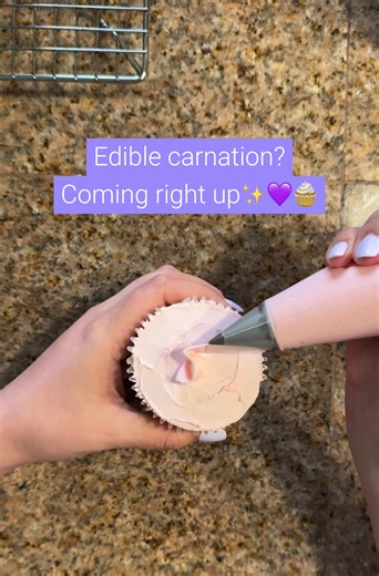 Let me know what flower you wanna see next🧁💜 Follow along for more floral cupcake creations & behind the scenes moments✨ #thepurpletulipcupcakes #floralcupcakes #buttercreamflowers #cupcakesoftiktok #cupcakes