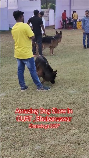 🐕 Amazing Dog Show at OUAT Bhubaneswar | Cutest & Smartest Dogs 🐾