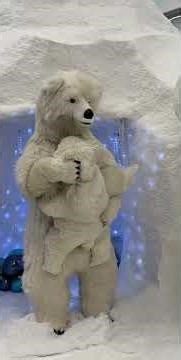 Teddy Bear #animals #teddybear #beats #sounds