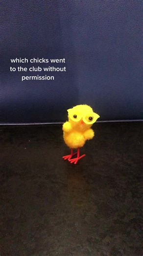 quack #chicks #whodidit #fyp #foryou