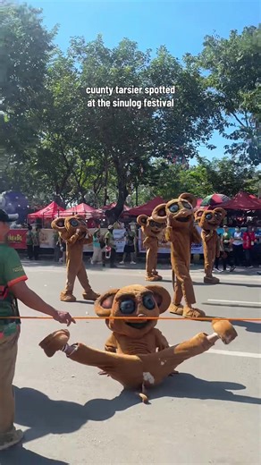 Cuunty Tarsier Encounter at Sinulog Festival 2026
