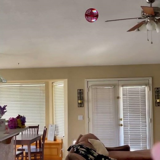 Amazing Fly Orb Boomerang!