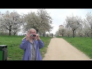 Kalchreuth - Kirschblüte