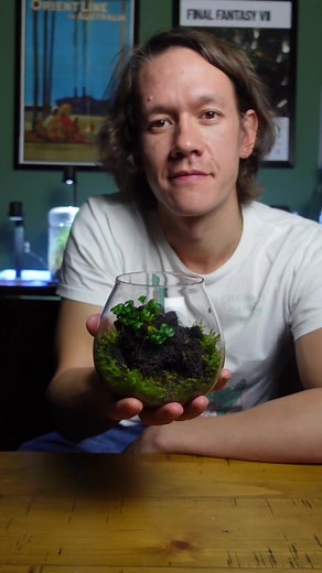 72K views · 1.1K reactions | The secret to growing moss in a terrarium | Worcester Terrariums | Facebook