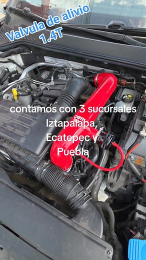 3.4K views · 14 reactions | Sobrinos! Asi se va este Leoncito mk3...