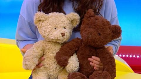 Teddies  -  Celebrating Differences with CBeebies House - CBeebies