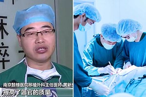 Dark world of organ harvesting where docs hunt brain-dead car crash victims