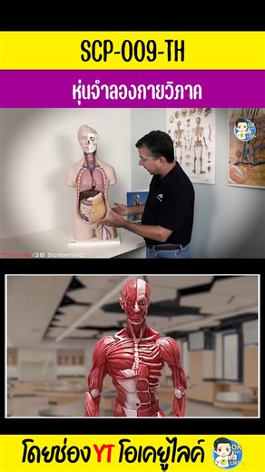 14K views · 310 reactions | SCP-009-TH หุ่นจำลองกายวิภาค #Reels...