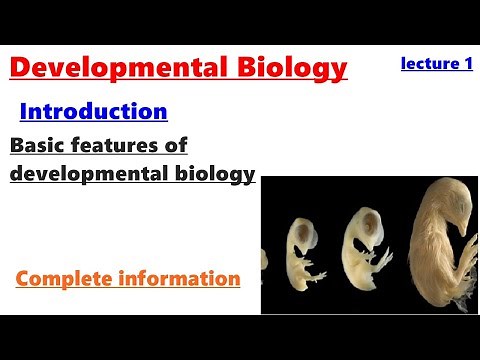 Introduction to developmental biology| Basic features of developmental biology-lecture 1| BS ZOOLOGY
