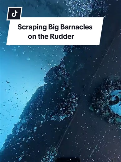 Scraping Barnacles Off a Ship's Rudder