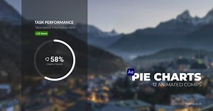 Infographics Pie Charts