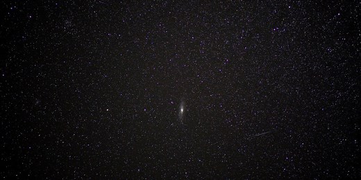 Comment observer la comète Neowise, visible tout le mois de juillet ?