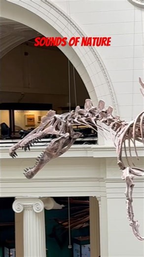 Where is Dr Alan Grant when you see a Spinosaurus? #jurassicpark3 #spinosaurus #shorts