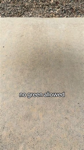 Khelsie Anderson on Instagram: "don’t hug me I’m scared 🥑 color theory avocado chalk art drawing #chalkart #colortheory #chalk #chalkartist #artistsoninstagram"