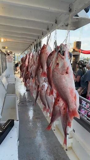 Williams Party Boats on Reels
