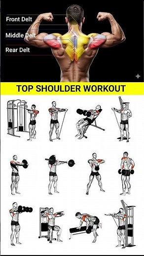 Best 12 Shoulder Workout for Beginners & Advanced | Full Guide
