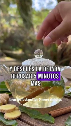 🌿🍵 Té de Culantro, Jengibre y Canela | Infusión Natural para Apoyar el Bienestar Renal y Hepático