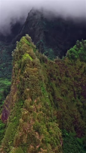 Emerald peaks, misty valleys, and one of Maui’s most iconic natural landmarks 🌿⛰️ Rising 1,200 feet from the lush ʻĪao Valley, the stunning ʻĪao Needle State Monument is more than just a beautiful view. This sacred site holds deep cultural and historical significance in Hawaii, once the location of the Battle of Kepaniwai. Today, it’s a peaceful place to wander paved paths, soak in the rainforest scenery, and truly feel connected to the island. Moments like this don’t just “happen” they’re thou