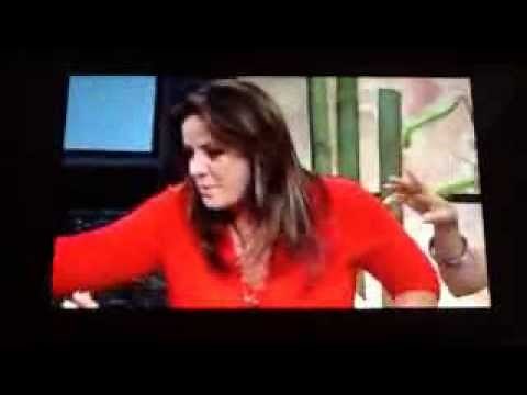 Netas Divinas Regreso de Yolanda Andrade Parte 1