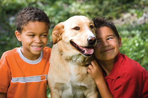 Pet | Definition, Types, History, & Facts | Britannica