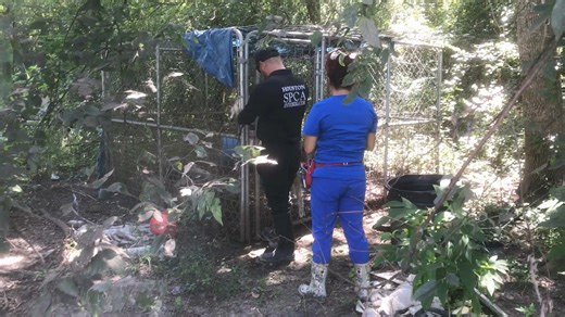 🐾 Vote Daily for the Houston SPCA! 🐾 We're honored to be finalists for Best Nonprofit in the Houston Chronicle's Best of the Best Awards! Your daily votes can help us secure this title. Voting ends tomorrow, May 27, cast your vote today and every day! Here we have one of our dedicated Animal Cruelty Investigators rescuing a dog in need—a testament to the relentless efforts our team makes to protect animals from harm. Our investigators are on the front lines every day, responding to reports of 