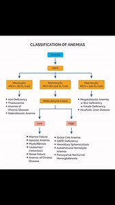 #vitamine Anemia classification | MRCP UK