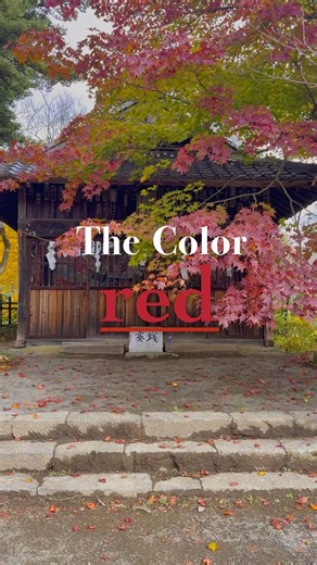 10K views · 131 reactions | Experience the colors of autumn in...