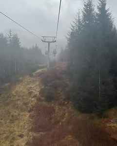 7.3K views · 85 reactions | ✨Embark on an extraordinary journey at...