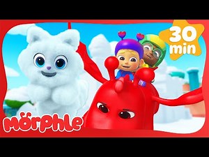 Snowy Day ADVENTURE! ❄️+ MORE Full Episodes | Morphle Magic Pet Cartoons for Kids