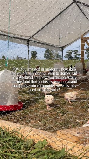 Homesteaders of America on Instagram: "During the 2025 Learn to Homestead in a Weekend, our homesteading community gathered at @polyfacefarm to gain the hands-on skills needed to step into a life of self-sufficiency and food sovereignty. Missed your chance? Join us May 22–23 for Learn to Homestead in a Weekend at Polyface Farms. Tickets are selling quickly—reserve yours now and give a last-minute experience gift that equips, inspires, and lasts a lifetime. Don’t forget to check out accounts that