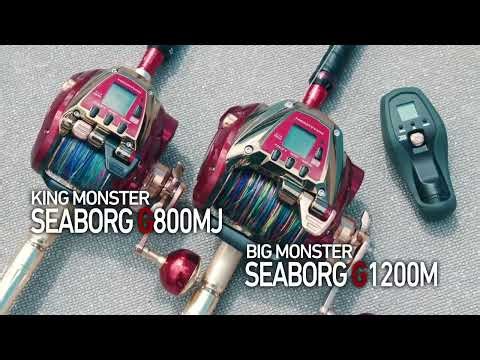 24 SEABORG G800MJ / SEABORG G1200M || DAIWA
