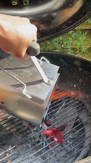 DORADE ENTIÈRE FARCIE AU BARBECUE 🐟 #dorade #fish #bbq #barbecue #recette #recipe #recipes #chef #cuisine #dorado #farce #technique | Qistoh