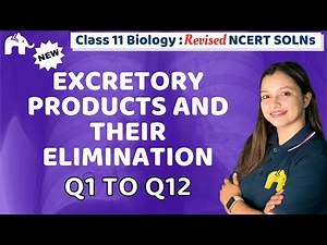 Excretory Products and their Elimination Class 11 Biology | NCERT Solutions Chapter 16 Question 1-12