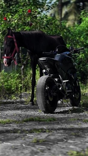 Black Horse 🐎 MT 15 #shorts #youtubeshorts #mt15 #yamaha #2026 #horse #blackhorse