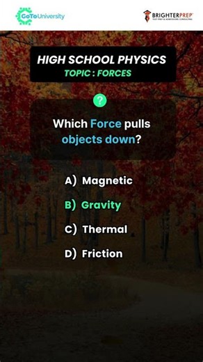 Physics Concept Check 2026 | Mechanics, Electricity, Magnetism & Optics