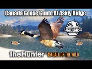 Cananda Goose Guide At Askiy Ridge - theHunter Call of the wild